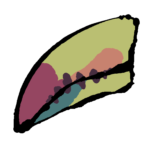 a long green-yellow toucan beak. the tip of the upper mandible is a dark red, and the tip of the lower mandible is a teal. across the upper mandible is also a orange splotch. there are small dark brown stripes along the beak.